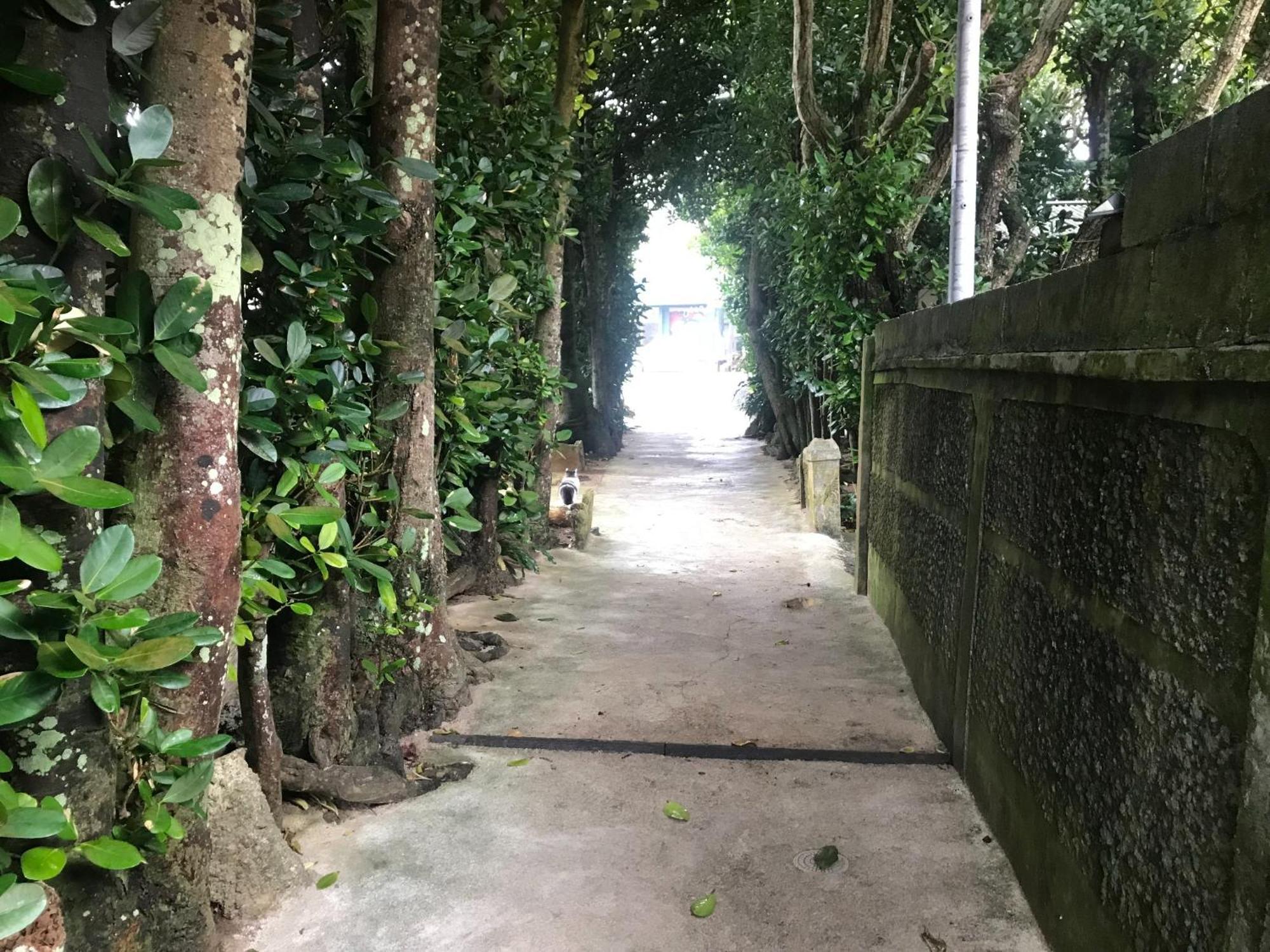 Niruyakanaya Bise - Vacation Stay 36704V المظهر الخارجي الصورة